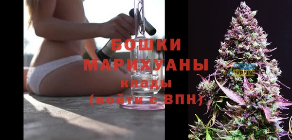 меф Арсеньев